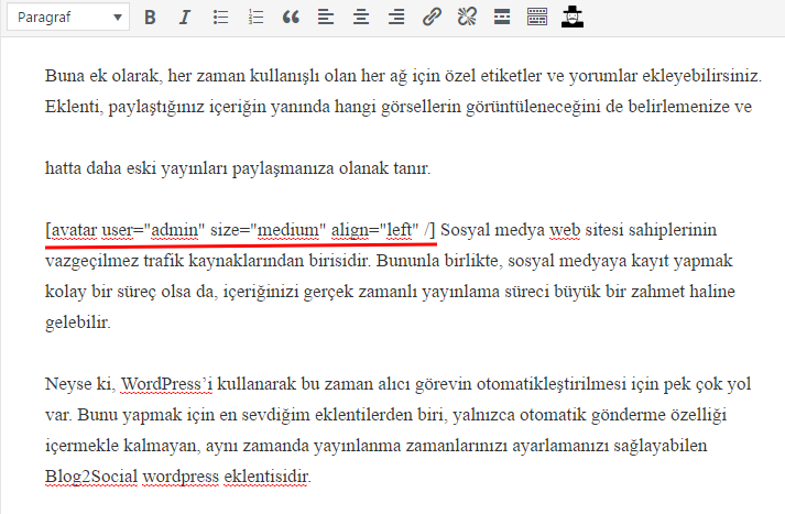 wp user avatar yazıya ekleme 2