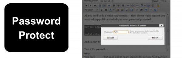 Wordpress için ücretli abonelik eklentileri 4