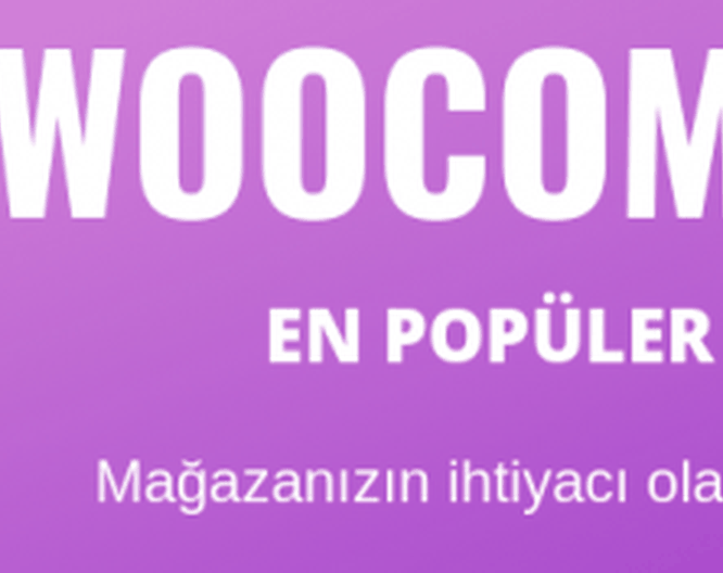 Wordpress email ayarları 2